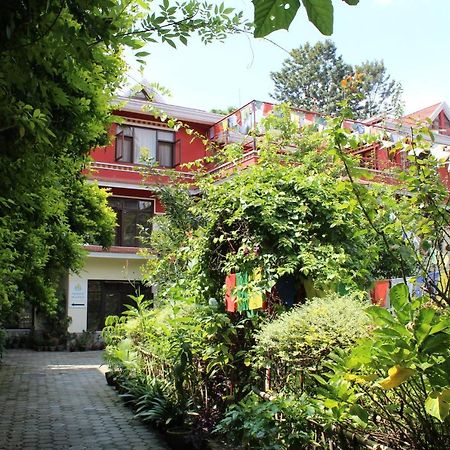 Rokpa Guest House Katmandu Eksteriør bilde