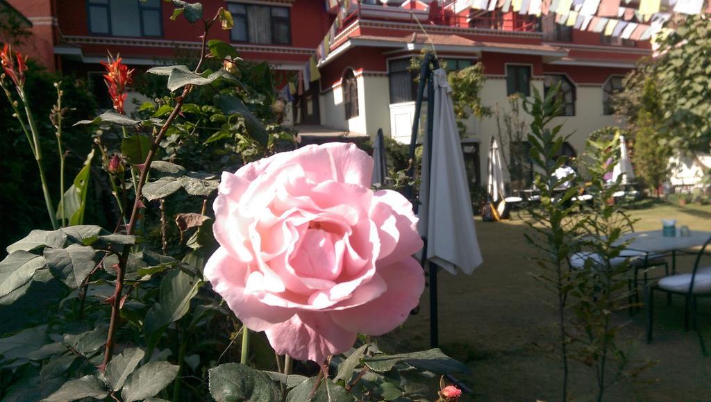 Rokpa Guest House Katmandu Eksteriør bilde