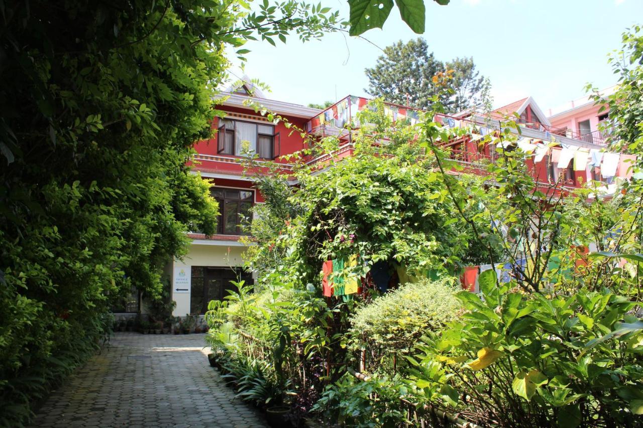 Rokpa Guest House Katmandu Eksteriør bilde
